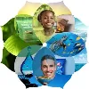 MELODEA Recyclable Packaging Solutions MELODEA Recyclable Packaging Solutions