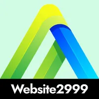 Website2999