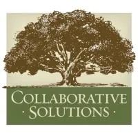 Collaborative Solutions Corporation
