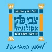 Zvi Cohen LTD