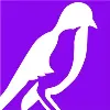 The Mockingbird Society