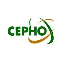 CEPHO - Centro de Estudos e Pesquisas em Hematologia e Oncologia