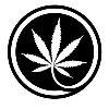 Calyx + Trichomes Calyx + Trichomes
