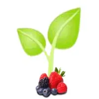 AGRONACER FRUITAND BERRIES S.P.R. DE R.L. DE C.V.