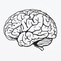 North Fulton Neurology, P.C.