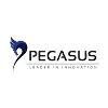 Unipegasus Profiles Pvt Ltd Unipegasus Profiles Pvt Ltd
