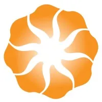 Arise Investments and Capital Pvt. Ltd.