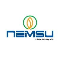 NEMSU Holdings
