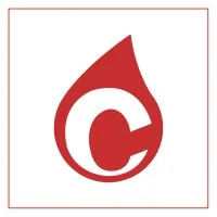 Carbono Química Carbono Química