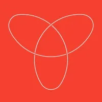 Torus.consulting