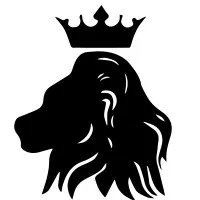 King's College London Bar and Mooting Society King's College London Bar and Mooting Society