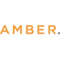 Amber International
