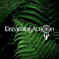 DreamingAction Consultores S.A.S DreamingAction Consultores S.A.S