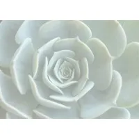 Haven Counseling LLC