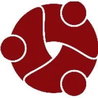 Center for Disease Analysis Foundation