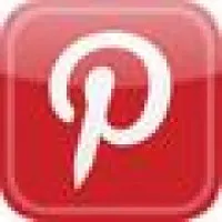 Premier Dog Training Premier Dog Training