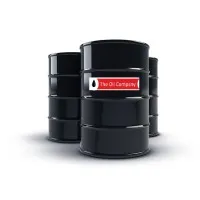 The Oil Company