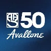 Avallone Architectural Specialties, L.L.C. Avallone Architectural Specialties, L.L.C.