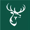 stagshead brand architects
