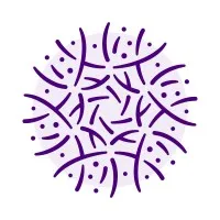 Allium Counseling