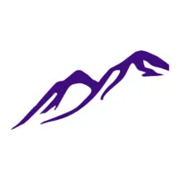 Purple Mountain Partners Investment Group