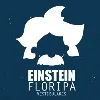 Einstein Floripa Vestibulares Einstein Floripa Vestibulares