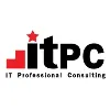 IT Professional Consulting (C.S.I. Group) IT Professional Consulting (C.S.I. Group)