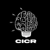 CICR - Creative & Innovative Cell in Robotics, JIIT NOIDA