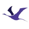 Saaras Inc Saaras Inc