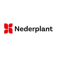 NEDERPLANT BRASIL LTDA
