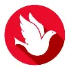 Network Solutions, Inc. Network Solutions, Inc.