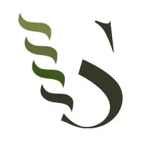 Veteran Strategies Veteran Strategies