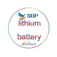 Shenzhen Giant Power Co., Ltd.
