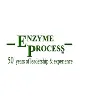 Enzyme Process Enzyme Process