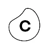 Celonis Celonis