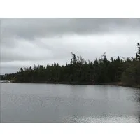 Exploring New Opportunities 