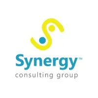 Synergy Group Asia Synergy Group Asia