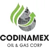 Codinamex Oil & Gas Corp Codinamex Oil & Gas Corp