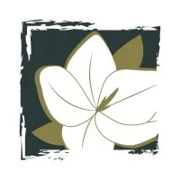 Del Vacchio Landscapes & Christmas Decor Del Vacchio Landscapes & Christmas Decor