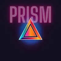 PRISM AI Consultants PRISM AI Consultants