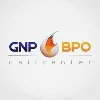 GNP Grupo Nacional de Proyectos GNP Grupo Nacional de Proyectos