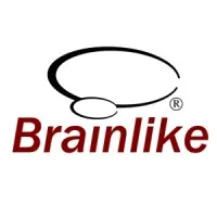 Brainlike, Inc.