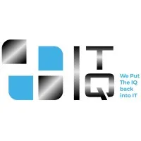 The IT IQ The IT IQ
