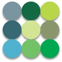 Coding Services Group Coding Services Group