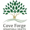 Cove Forge Behavioral Health Center Cove Forge Behavioral Health Center