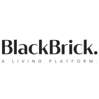 BlackBrick.