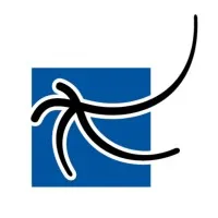 Cygnus Systems, Inc.