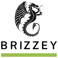 Brizzey LLC Brizzey LLC