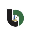 Loombiz Consultancy