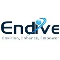 Endive Software Private Limited